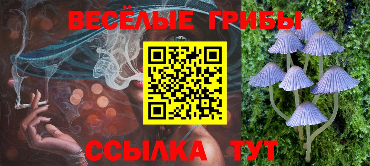 Казань  Галлюциногенные грибы MAGIC MUSHROOMS  Галлюциногенные грибы Cubensis  Вход с VPN 